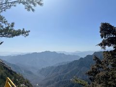 -朱雀国家森林公园