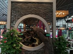 -大树头森林餐厅(番禺广场店)