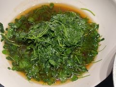 -钱塘秋荷(开鲁路店)