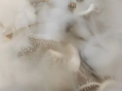 -东门口涮肉·砂锅·烤串(老门东店)