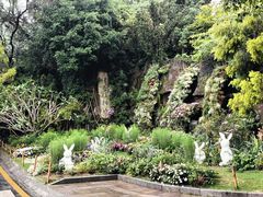-深圳仙湖植物园