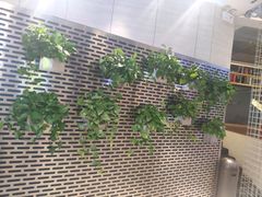 -CoCo都可(360丰产店)