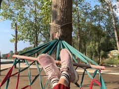 -东方巨龟苑景区