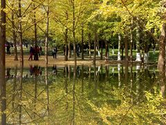 -北京奥林匹克公园