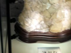 -陕西自然博物馆