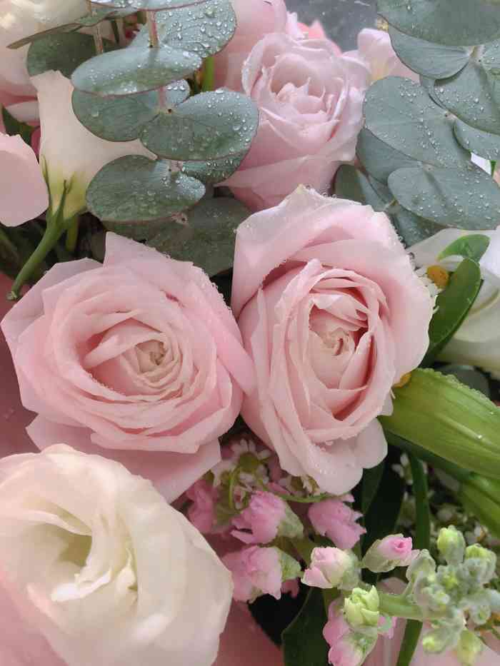 遇见鲜花(群力店)-"节日忙 确实能理解本来是一个很开心的日.