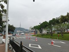 -野狸岛