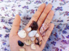 -那香海钻石沙滩浴场