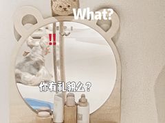 -读宠于你·约克夏比熊·睫角守宫·爬宠售卖(高新店)