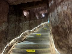 -中国西峡恐龙遗迹园