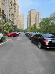-蚂蚁婚车