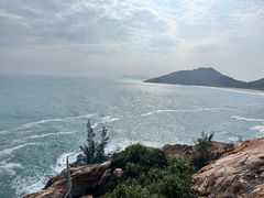 -广东惠东海龟国家级自然保护区