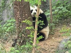 -五台山游泳馆