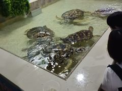 -常州海昌海洋探索馆