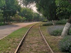 -永定河休闲森林公园