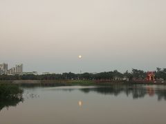 -万绿园