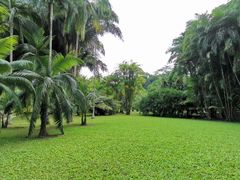 -中国科学院西双版纳热带植物园