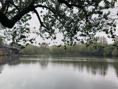 -西湖外事游船(湖滨二公园外事游船码头)