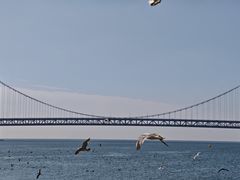 -星海广场
