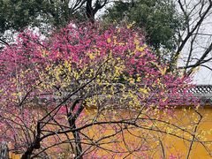 -太平天国侍王府