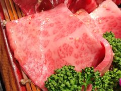 -俺的焼肉(銀座9丁目店)
