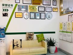 -汪喵宠物医院·骨科心脏影像·犬猫急重症ICU诊疗中心(成华分院)