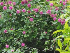 -山间农家