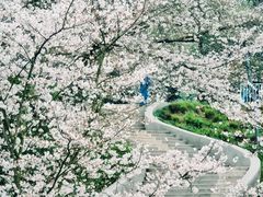 -杭州少年儿童公园