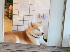 -餐酒吧Com-ing Bar(上海路店)