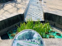 -苏州河梦清园环保主题公园