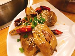 -守柴炉烤鸭(中海国际店)