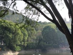 -石家庄市动物园