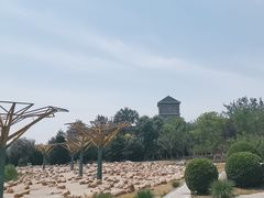 -绿岛公园(滨海新区)