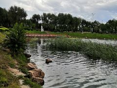 -丁香湖公园