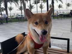-星巴克(珠海仁恒滨海中心店)