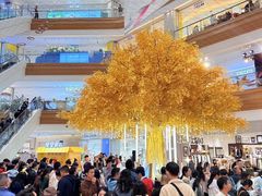 -友谊阳光城(金贸街道店)