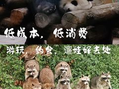 -广州动物园