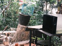 -彳亍咖啡·这里(水湾路店)