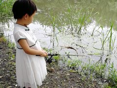 -九里河湿地公园