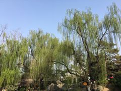 -西安青龙寺遗址景区