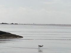 -三娘湾旅游风景区
