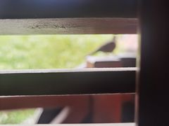 -星巴克臻选(思南公馆店)