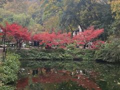 -岳麓山风景名胜区