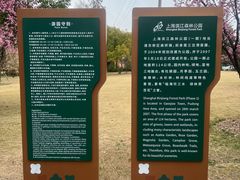 -上海滨江森林公园
