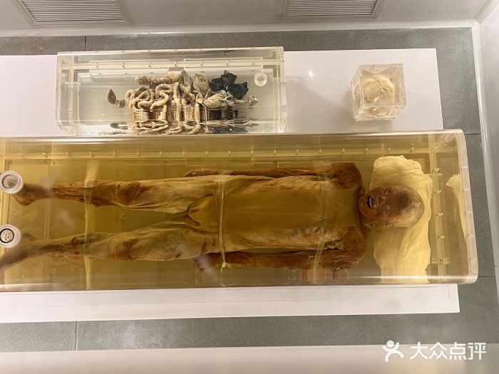 荆州博物馆图片