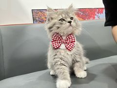 -芸山季·云南山珍菌火锅(万象前海店)