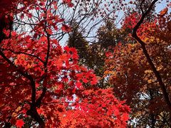 -本溪老边沟风景区