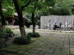 -白马涧龙池景区