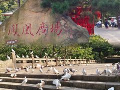 -丹东凤凰山景区