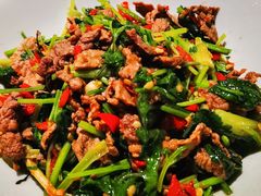 香菜炒牛肉-壹盏灯(蚂蚁工房店)